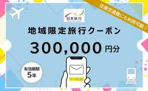 沖縄県恩納村 日本旅行 地域限定旅行クーポン30万円分（Eメール発行）