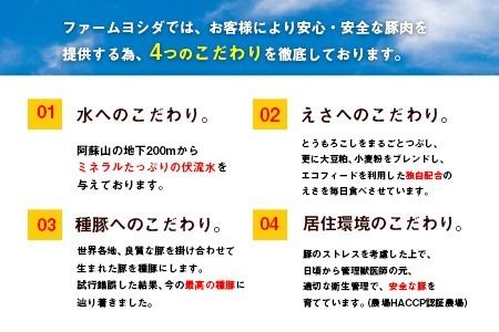 えころとん・豚肉5種(計1135g) バラエティセット《60日以内に出荷予定(土日祝除く)》熊本県産 有限会社ファームヨシダ---so_ffarmy5vrt_60d_r7_15000_1135g---