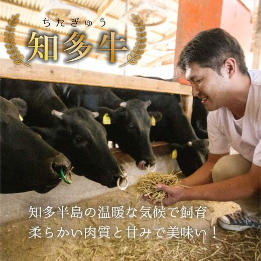 知多牛 希少部位1kg 訳あり 国産牛肉 ブランド牛 真空 冷凍 精肉店 肉屋 直送 ラムシン イチボ 中落ちカルビ ヒレ ロース芯 トモサンカク ネクタイ リブキャップ 厳選 焼肉 赤身 レシピ