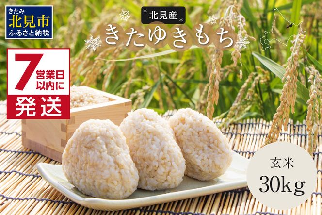 《7営業日以内に発送》令和7年産 北海道産きたゆきもち 玄米 30kg ( 米 お米 モチ米 もち米 餅 赤飯 ぼたもち おはぎ 美味しい 北海道 )【080-0094】