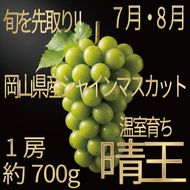[HS]ぶどう先行予約7月・8月発送温室シャインマスカット晴王1房約700g ブドウ 葡萄  岡山県産 国産 フルーツ 果物 ギフト デザート 食後 酸味が少ない 産地直送