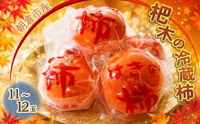 柿 冷蔵柿 11～12玉 ファームステーションバサロ 果物類 かき 