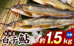 【冷凍】白子鮎約1.5kg N070-YA865-2