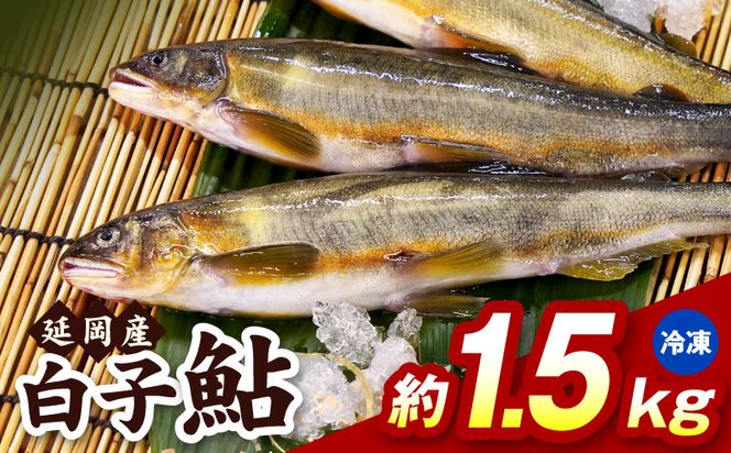 【冷凍】白子鮎約1.5kg N070-YA865-2