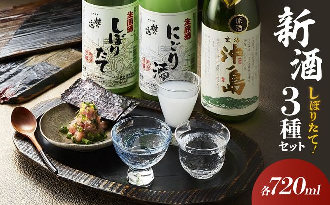 蔵元直送！しぼりたて新酒セット【勝屋酒造】_HA1373