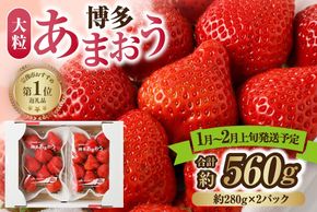 【アフター保証】大粒セレクト！大人気のあまおう 約280g×2パック【2026年1月～2月上旬お届け】【ほたるの里】_HA0276