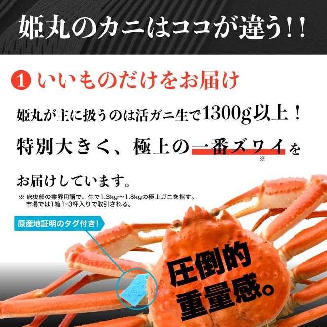 【 姫丸の二番ズワイガニ】11-12月配送 2番ズワイ茹で上げ後約900g× 1杯