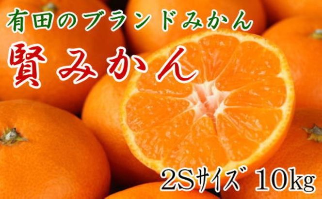 [秀品]有田のブランドみかん「賢みかん」10kg （2Sサイズ）［2026年11月中旬頃より順次発送］ BZ140