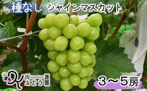 種なしぶどう シャイン・マスカット (3～5房） 【680】