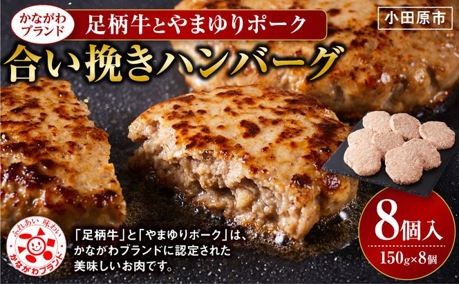 【かながわブランド】足柄牛とやまゆりポーク合い挽きハンバーグ8個入【 肉 国産  神奈川県 小田原市 】 142069_AG031
