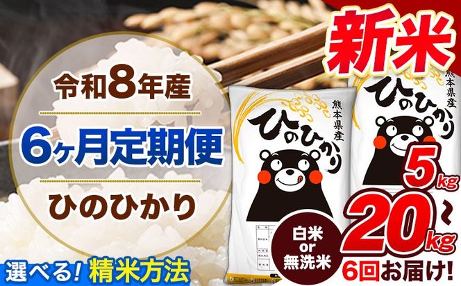 【6ヶ月定期便】令和8年産 新米 定期便 無洗米 も選べる ひのひかり 5kg 10kg 20kg 《12月から出荷開始》令和8年産 新米 熊本県産 ふるさと納税 無洗米 白米 精米 ひの 米 こめ ふるさとのうぜい ヒノヒカリ コメ 熊本米---gkt_lcl_811_dec6---