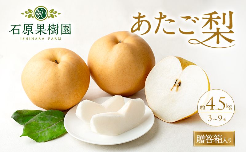 梨 2026年 先行予約 あたご梨 3〜9玉 合計約4.5kg 贈答箱[11月下旬〜12月中旬頃発送] ナシ なし 岡山県産 国産 フルーツ 果物 ギフト 石原果樹園 繊細な味 ジャンボ梨