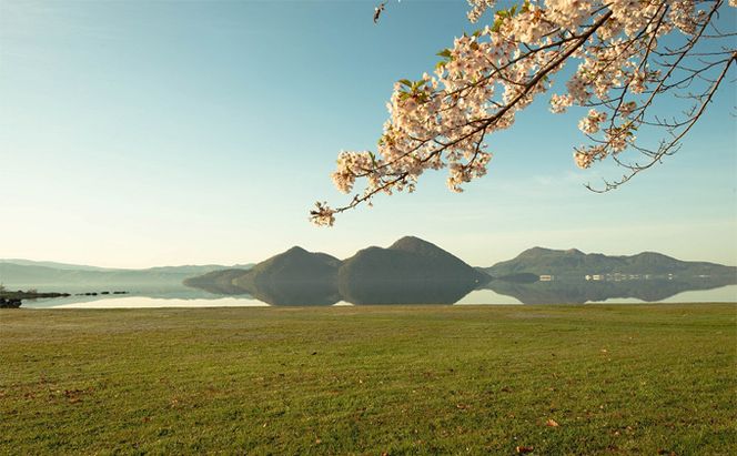 洞爺湖マラソンに参加して大会を応援！ エントリー権 (1人)