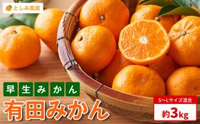 有田みかん 早生みかん 秀品または優品 約3kg S～Lサイズ混合 としみ農園 ET02