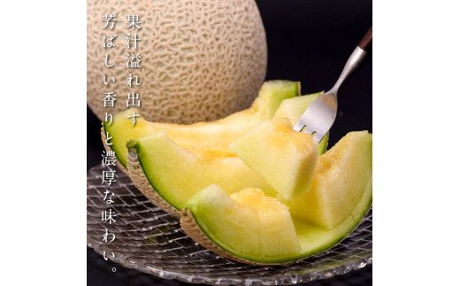 【CF-R7hbk】SKS024　緊急支援　高知県産 高級マスクメロン（ご家庭用）2玉入〈南国市共通返礼品〉【発送期間：4月～12月（9カ月）】【1月～3月は気候温度不安定の為出荷不可となります。】