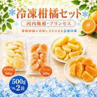 冷凍柑橘セット 河内晩柑・プリンセス 500g ×2袋 冷凍みかん みかん ミカン 愛媛みかん 蜜柑 柑橘 かんきつ 冷凍ミカン 冷凍柑橘 アイス スムージー シャーベット みかん職人武田屋 愛媛県 愛南町