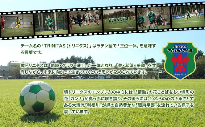【5日以内発送】境トリニタス応援ボックスティッシュ 400枚(200組) × 60箱 日用品 防災 消耗品 必需品 花粉 風邪 ティッシュ ボックス ボックスティッシュ K2565