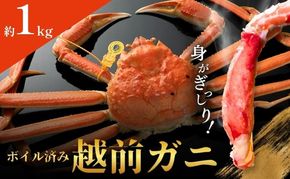 越前ガニ ボイル 約1kg 高島屋 選定品 ズワイガニ かに 海鮮 海産物 海の幸 魚介 魚介類 越前かに 越前カニ 越前がに ずわいがに ずわい蟹 カニ 蟹 ボイルガニ 冷蔵 冷蔵配送 福井県 福井 若狭町 若狭
