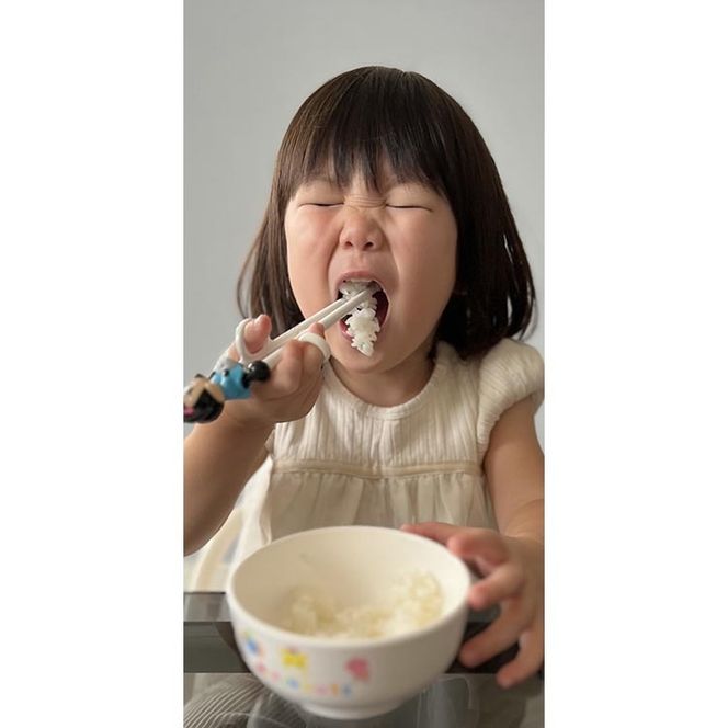 令和7年度産　栃木県産にじのきらめき 精米5kg　栃木県共通返礼品｜米 コメ 地域おこし協力隊