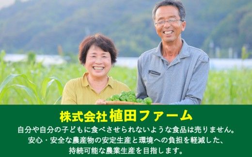 【全3回定期便】高知県産 植田ファームのこだわりピーマン 2kg〈2026年10月1日～2027年6月下旬〉 ピーマン 甘い 新鮮野菜 サラダ 野菜 おかず 詰め合わせ 絶品 お取り寄せ 美味しい 料理 おうちごはん 新鮮 高知県 土佐市【株式会社植田ファーム】[BQAT026]