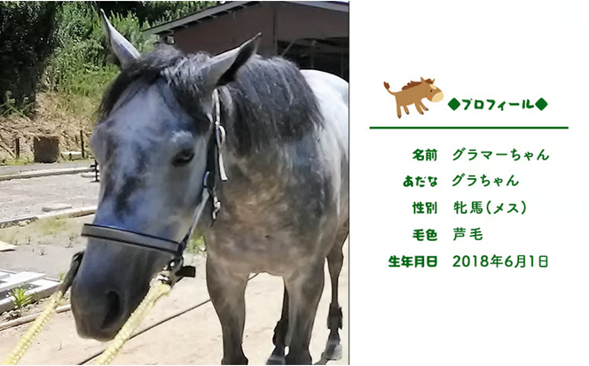 馬 たてがみ 手作り ストラップ 1個 トントントントロ＆グラマー オリジナル キーホルダー[№5735-1877]