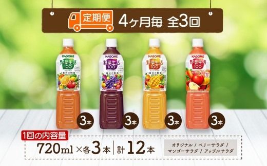 ns038-032　定期便 4ヵ月毎全3回 カゴメ 野菜生活100 飲み比べセット スマートPET 720ml  4種 計12本 オリジナル ベリーサラダ マンゴーサラダ アップルサラダ 野菜 果実 ミックスジュース 野菜ジュース フルーツジュース フルーツ 飲料 KAGOME 送料無料 那須塩原市