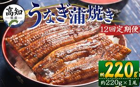 うなぎ 定期便 12回 国産 約220g １尾 蒲焼き 高知県産 養殖 魚介 国産 海鮮 魚 かばやき 鰻 ウナギ 惣菜 おかず お手軽 加工品 加工食品 冷凍 Wfb-0060