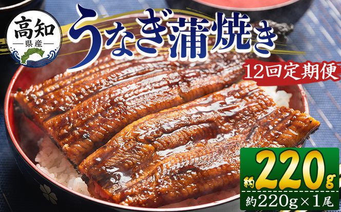 うなぎ 定期便 12回 国産 約220g １尾 蒲焼き 高知県産 養殖 魚介 国産 海鮮 魚 かばやき 鰻 ウナギ 惣菜 おかず お手軽 加工品 加工食品 冷凍 Wfb-0060