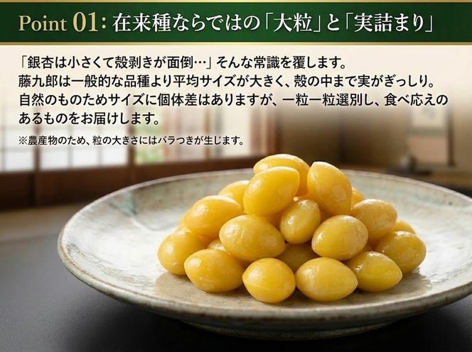 藤九郎 ぎんなん（大粒）1kg | ぎんなん 銀杏 大粒 もちもち おつまみ 酒の肴 秋 野菜 イチョウ 疲労回復 美容 炊き込みご飯 茶碗蒸し 人気 はやし柿園 産地直送 送料無料 岐阜 瑞穂市 ※2026年11月～発送