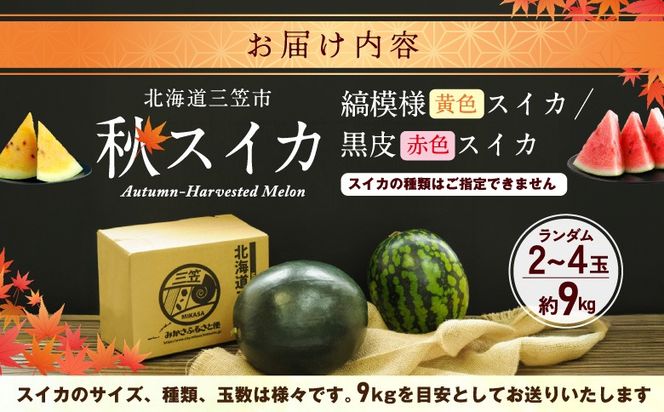 《2026年分受付中》秋に収穫される赤色スイカor黄色スイカ2～4玉(約9kg)【01149】