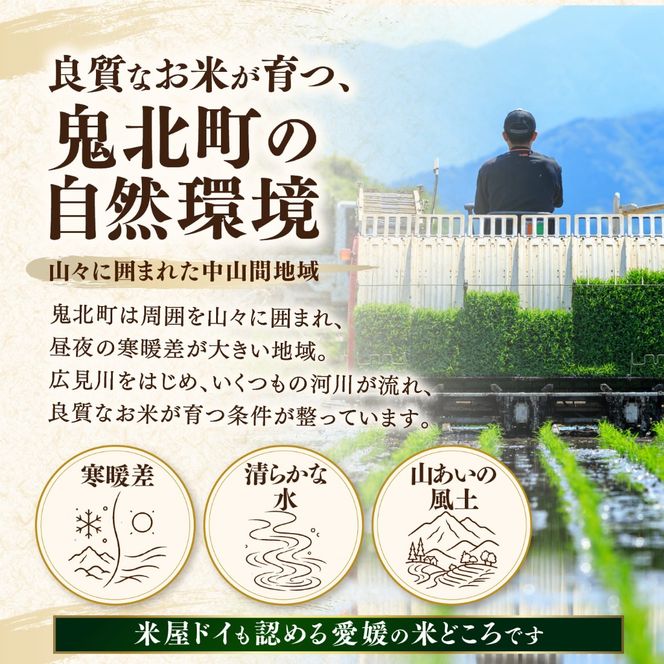 【先行予約】【令和8年産】鬼北町産 中平ファーム こしひかり 10kg （5kg×2袋）【米屋仕上げ】| R8年産 新米 精米 白米 ご飯 米 コシヒカリ お米のまつや 株式会社ドイ 愛媛県鬼北町