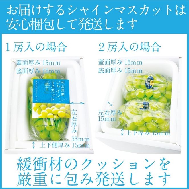 2026年 先行予約受付中 シャインマスカット晴王 2房 約1.1kg 岡山県産 種無し 皮ごと食べる みずみずしい 甘い フレッシュ 瀬戸内 晴れの国 おかやま 果物大国 ハレノフルーツ [№5735-2157]