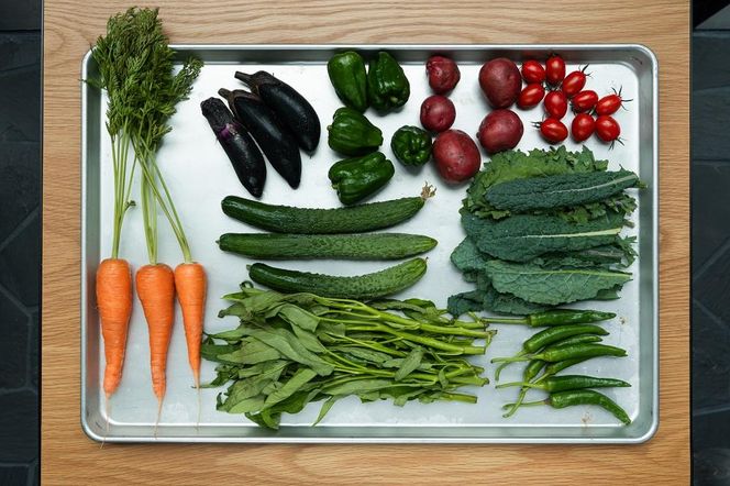 【エースホテル京都／KOSA】レストランチケット/当プランオリジナル特別コース(ランチまたはディナー2名分)［ 京都 シアトル発 ホテル ニューアメリカン料理 レストラン 食事券 人気 おすすめ チケット 利用券 新風館 宿泊 観光 旅行 ふるさと納税 ］ 261009_A-LA090