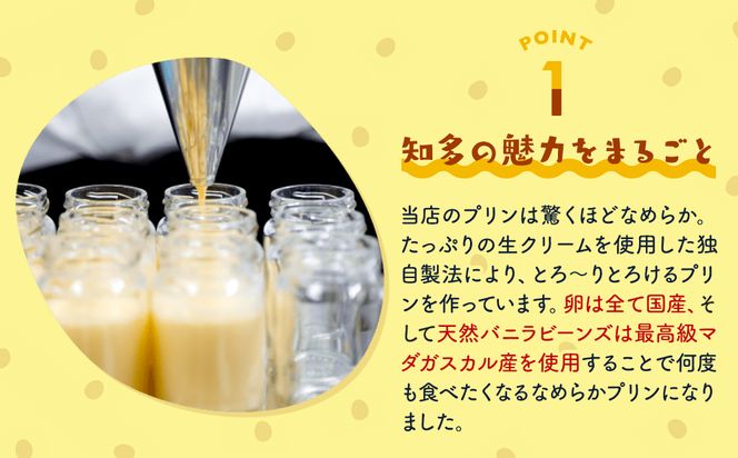 チータープリン 6 個 セット ( プレーン × 3 抹茶 塩 キャラメル フルーツ ) 冷蔵 プリン 子供向け スイーツ デザート ギフト お土産  贈答用 お歳暮 まるごと知多チータプリン 愛知県 南知多町 【配送不可地域：離島・北海道・沖縄県・東北・中国・四国・九州】