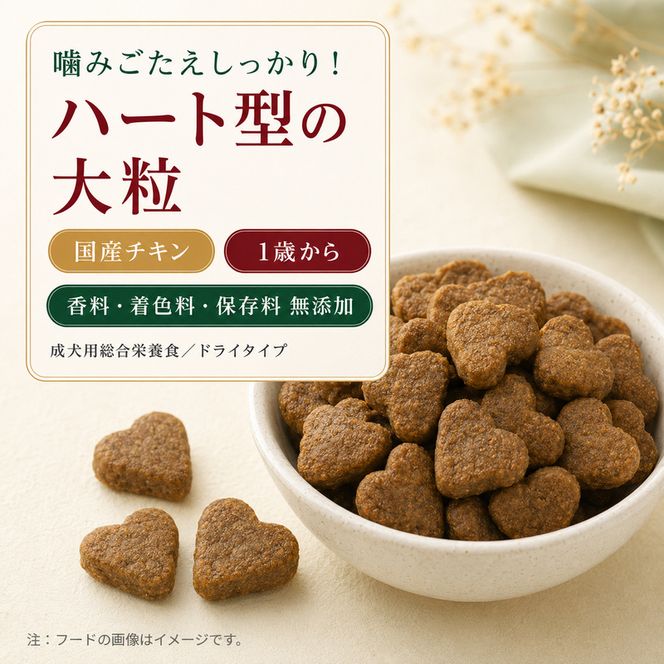 ビューティープロ ドッグ 大粒タイプ 1歳から 2.5kg ｘ4(ケース単位) ドッグフード