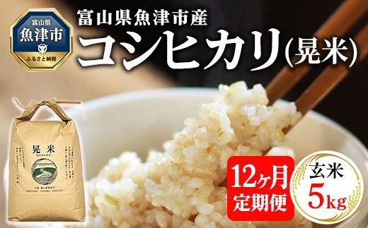 【12ヶ月定期便】【令和6年度米】「魚津のコシヒカリ（晃米）」5kg（玄米） ｜ 環境配慮 MK農産 お米 ブランド米 銘柄米 玄米 ご飯 おにぎり 産地直送 甘み 旨味 香り ※2024年9月中旬頃より順次発送予定 ※北海道・沖縄・離島への配送不可