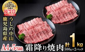 ＜A4・A5等級＞鹿児島県産黒毛和牛 うしの中山 霜降り焼肉用 計1kg(500g×2P) c9-005