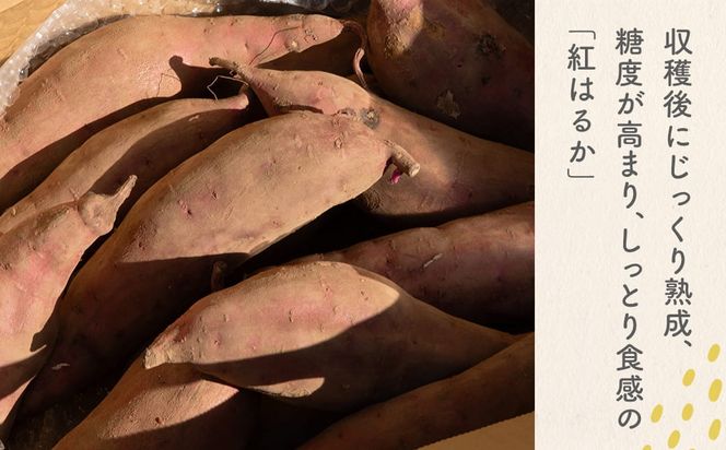 【数量限定】境町産 さつまいも 熟成紅はるか 小さめサイズ (SS～S) 約3kg 土付き 不揃い ねっとり 甘い 国産 熟成さつまいも べにはるか 芋 生芋 焼き芋 サツマイモ 無選別 茨城県 K2691