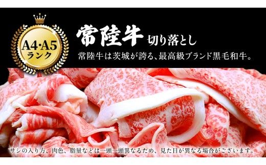 【 常陸牛 】  ＼選べる発送時期／【 常陸牛 】切り落とし 900g（450g×2パック） ( 茨城県共通返礼品 ) 牛肉 国産 牛 肉 切り落とし肉 切落し 小分け お肉 A4 A5 ブランド牛 黒毛和牛 和牛 国産黒毛和牛 国産牛 すき焼き すきやき 小分け