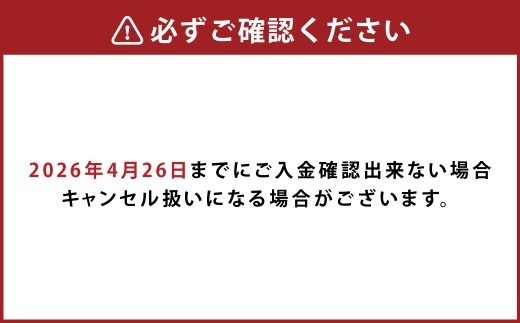 【先行予約】超豪華! 黄色 オレンジ系 でまとめた 母の日 にぴったりな アレンジメント ♪ 【2027年5月7日～9日まで発送予定】 母の日 花 生花 フラワー アレンジメント オレンジ 黄色
