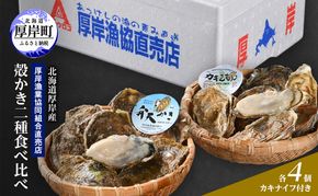 【2月～3月発送】北海道 厚岸産 ブランド牡殻かき 二種 食べ比べ (弁天かき＆カキえもん)　8個 牡蠣 魚貝類 生牡蠣 殻付き牡蠣 カキ
