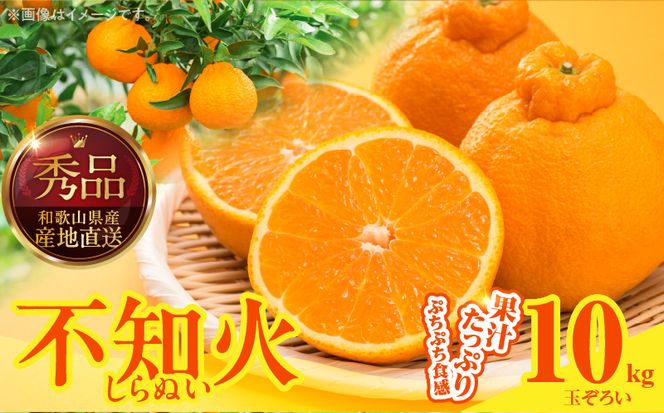 MK1010_不知火 (しらぬい) 秀品 玉ぞろい 箱込 10kg (内容量約9.2kg) 