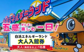 白浜エネルギーランド 大人（高校生以上）入館券 1名 304018_W004