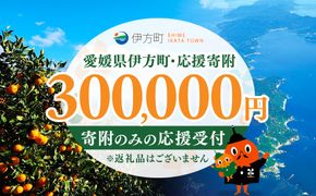 【返礼品なし】愛媛県伊方町・応援寄附300,000円（寄附のみの応援受付 ※返礼品はございません） IKTBG007