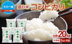 【定期便】コシヒカリ5kg×4回　合計20kg　令和7年度産　のべ産 温心米 お米 20kg 単一原料米 こしひかり 丹波 精米 白米 こめ コメ 京都