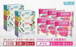 【スコッティ】ティシュー フラワーボックス 250組（5箱パック×2セット）＋フラワーパック 3倍長持ち（4ロール(ダブル)パック×6セット）ティッシュ トイレットペーパー 日用品
