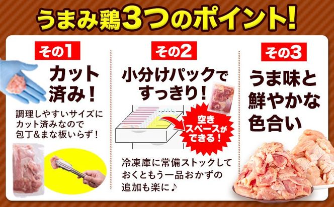 うまかチキン 全パックむね肉セット(計1種類) 合計930g 《30日以内に出荷予定(土日祝除く)》ふるさと納税 肉 とり とり肉 とりむね 小分けバック 鳥 冷凍 定期 大容量 数量限定 簡易包装 鶏肉---hkw_lcl_585_3p---