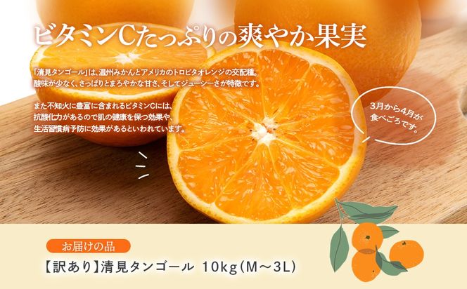 【先行予約】【訳あり】清見タンゴール 10kg（M～3L）※離島への配送不可 （2027年3月上旬頃より順次発送予定） IKTAR014