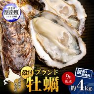 9月配送 訳あり 牡蠣 北海道厚岸産 殻付カキ 約4kg (25から50個) カキナイフ付 生食 生牡蠣 貝付き牡蠣 貝 海鮮 魚介類 殻付き牡蠣 マルえもん