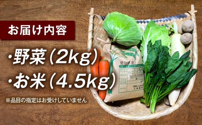 愛西市産 あいちのかおり4.5kgと旬の季節野菜詰め合わせ 精米 お米 野菜 愛西市 / お米の三輪[AECM002]